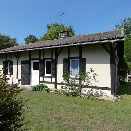 Au Gat Léon